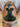 15.5" Mary’s Tack Custom Made Roping Saddle w Fl Cinch - Med/Wide Tree|16700