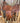 15.5” Western All Around Saddle w Fl Cinch|17001