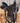 15" High Horse Galaxy Barrel Saddle w Flank Cinch|11852