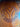 16" Circle Y Saddle - Wide Tree|16631