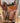 16.5" Tucker Gen II Trail Saddle W/ B Collar & Fl Cnch - Wide Tree|16588