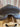 17.5" Wintec All Purposre Saddle with Leathers and Irons|12251