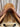17.5" Childeric Close Contact - Medium Tree, 4.5"|17566