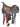 Saddle|18445