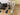Pivo Sports Pack - New!|15874