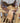 14" Circle Y Barrel Saddle - Reg Tree/6.5” Gullet|17160