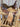 14" Circle Y Barrel Saddle - Reg Tree/6.5” Gullet|17160