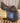17” HDR Rotate to Fit Close Contact Saddle (Adj Gullet)|15833