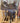 15.5” Courts Barrel Saddle w Breast Collar|18148