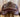 16.5” County Innovation Close Contact Saddle|12120