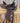 12" King Series Kids Saddle|12598