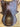 16" Collegiate Monoflap Eventing Saddle w Blue Cover|16056