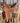 16" Roping Saddle with Breast Collar and Flank Cinch|12863