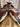 16” circle Y Trail Saddle w Lat, OB, SS|13373