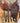15” Big Horn Roping Saddle w Br Cllr, Lat, OB, SSs|13170