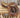 17" Passier CC Saddle w Leathers and Irons|12964
