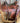 15.5” Cactus Roping Saddle - 7” Gullet|16145
