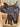 15" Weaver Trail Saddle w Lat, SS, OB, Cinch|13221
