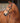 Avignon Ocala Bridle Havana  Extra Full|17615
