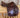 16.5” County Innovation Close Contact Saddle|12118