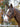 Avignon Ocala Bridle Havana  Extra Full|17616