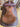 15.5" Saddle w Hdstll, BC, Lat, OBillet, SS - Narrow/6.5"|16039