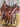 15.5” Cactus Roping Saddle - 7” Gullet|16146