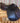 16.5" CWD SEO1 Close Contact Saddle - 2C Flap w Cover|11912