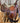 15.5” Saddlesmith Saddle w Fl Cinch, Latigo, Off Billet, S Straps|16760
