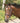 Avignon Wellington Bridle Havana Cob|17618