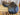 17.5" Skidar Close Contact Saddle w/ Cover - Med Narrow|15741