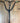 PS of Sweden Black Breast Collar with Running Attachment|12781