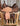 16" Scott Thomas AA Saddle w Fl Cinch, Lat, OB, S Straps|13349