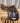 Crosby All Purpose Saddle w Leathers and Irons|15289
