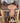 16" Scott Thomas AA Saddle w Fl Cinch, Lat, OB, S Straps|13350