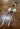 Blue Ribbon Single Ear Show Headstall with Quick Change|13473