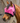 Mackey Fly Mask - SZ MD|12373