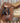 17" Passier CC Saddle w Leathers and Irons|12963