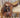 17" Passier CC Saddle w Leathers and Irons|12963