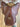 14" Lancer CC Saddle|12996