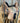 **ON TRIAL** 15" High Horse Proven Mansfield Barrel Saddle - Wide/7" with Latigos,|17793