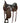 15" Scott Thomas Cordura Trail Saddle w Lat, OB, SS - Wide/FQB|15740