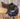 17.5" CWD SEO2 CC Saddle with Cover|13226