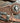 Cowboy Spur Straps Dk Oil Antique Conchos *NEW|15671