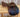 15" Collegiate CC Saddle|13236