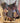 16" High Horse Willow Creek Trail Saddle XW|17135