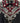 Western Pleasure Show Shirt Black/Red Bling LG|18397