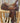 15" Nigros All Around Saddle|12958