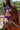 Envisioned Equestrian Obsidian Orchid Bridle -Sz Full|14361