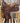 15" Nigros All Around Saddle|12957